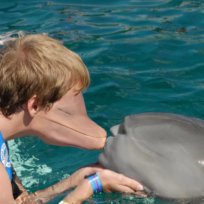 Human - dolphin face-swap